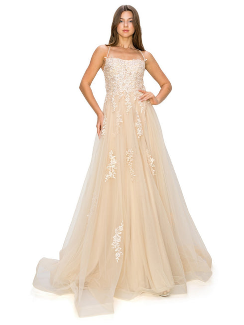 Bliss Lace Applique Open Back Spaghetti Tulle Dress for Women, Sizes XS-3XL - SophiasStyle.com